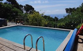Haut De Villa Au Mont St Clair Vue Exceptionnelle Mer Et Foret Terrasses, Piscine, Petanque, Solarium Prives