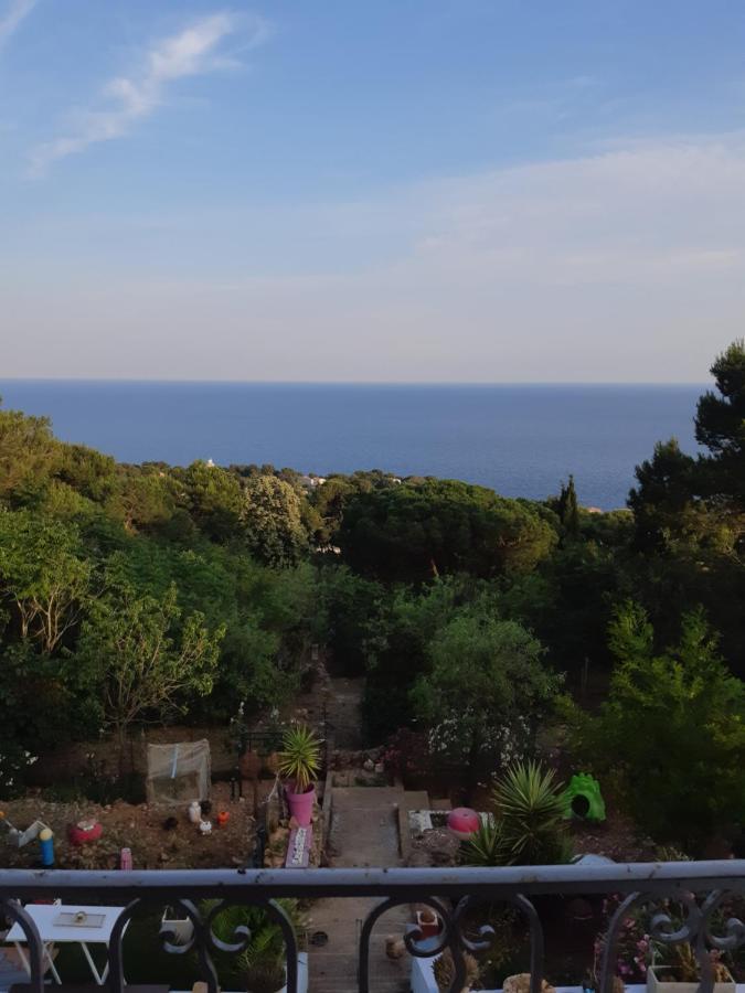 Haut De Villa Au Mont St Clair Vue Exceptionnelle Mer Et Foret Terrasses, Piscine, Petanque, Solarium Prives Sète Extérieur photo
