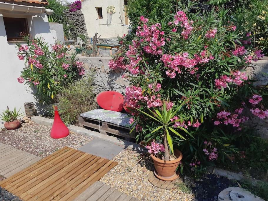 Haut De Villa Au Mont St Clair Vue Exceptionnelle Mer Et Foret Terrasses, Piscine, Petanque, Solarium Prives Sète Extérieur photo