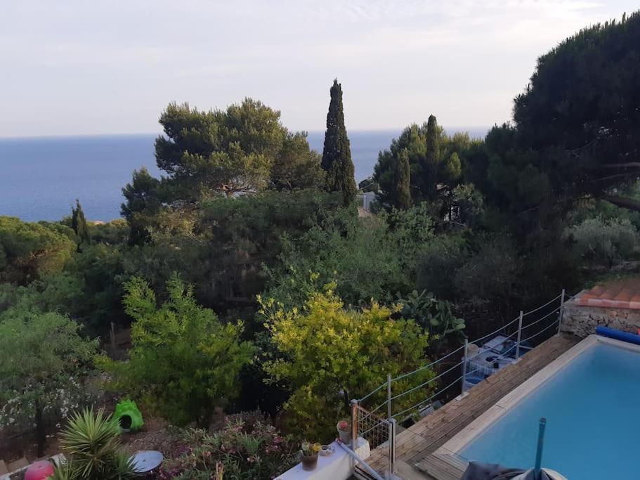 Haut De Villa Au Mont St Clair Vue Exceptionnelle Mer Et Foret Terrasses, Piscine, Petanque, Solarium Prives Sète Extérieur photo